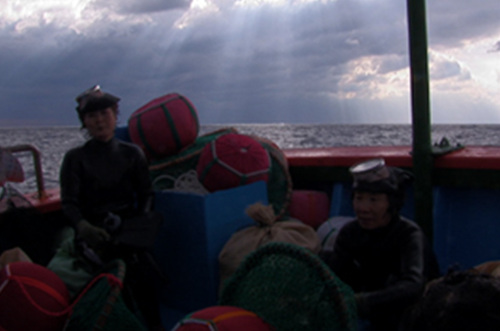 Haenyos Wrap Up at Boat01.jpg